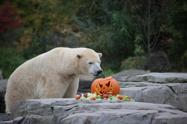 2015-10-22 06-26-39.JPG